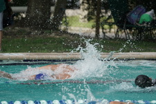 Enlarge photo 294