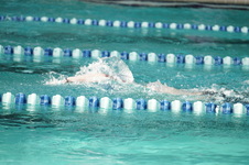 Enlarge photo 297