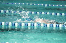 Enlarge photo 298