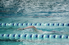 Enlarge photo 301