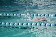 Enlarge photo 303