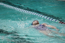 Enlarge photo 308