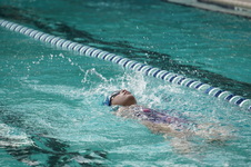 Enlarge photo 311