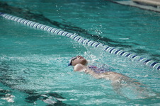 Enlarge photo 312