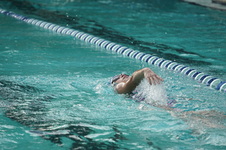 Enlarge photo 313