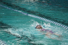 Enlarge photo 316