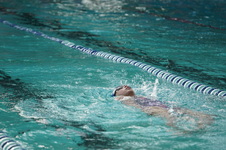 Enlarge photo 318
