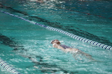 Enlarge photo 317