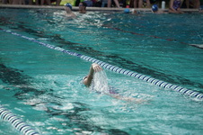 Enlarge photo 320