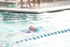 Enlarge photo 322