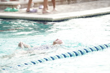 Enlarge photo 324