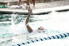 Enlarge photo 325