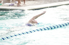 Enlarge photo 326
