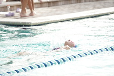 Enlarge photo 328