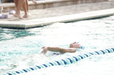 Enlarge photo 327