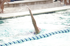 Enlarge photo 330