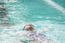 Enlarge photo 334