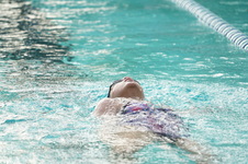 Enlarge photo 335