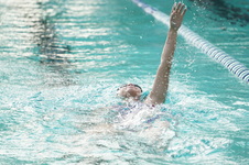 Enlarge photo 336