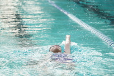Enlarge photo 337