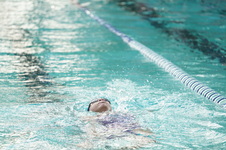 Enlarge photo 339