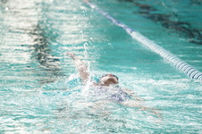 Enlarge photo 343