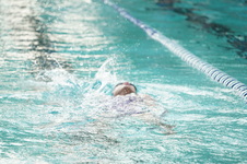 Enlarge photo 345