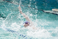 Enlarge photo 344