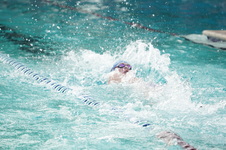 Enlarge photo 347