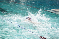 Enlarge photo 346