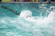 Enlarge photo 349