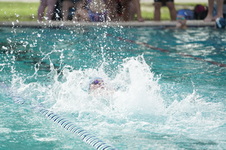 Enlarge photo 351