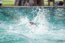 Enlarge photo 352
