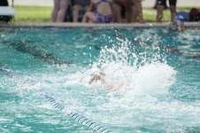 Enlarge photo 354