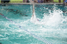 Enlarge photo 353