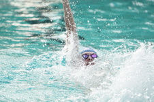 Enlarge photo 358