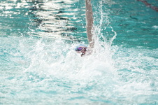 Enlarge photo 362