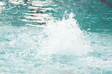 Enlarge photo 361