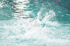Enlarge photo 363