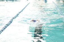 Enlarge photo 368