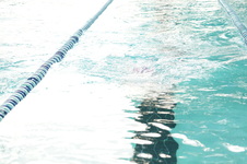Enlarge photo 369