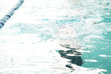 Enlarge photo 371