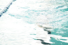 Enlarge photo 372