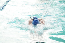 Enlarge photo 374