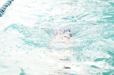 Enlarge photo 375