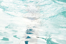 Enlarge photo 376