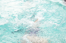 Enlarge photo 380