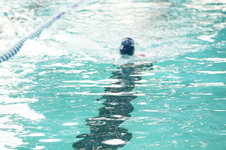 Enlarge photo 381