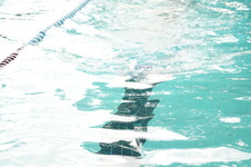 Enlarge photo 388