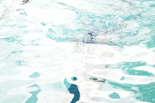 Enlarge photo 391